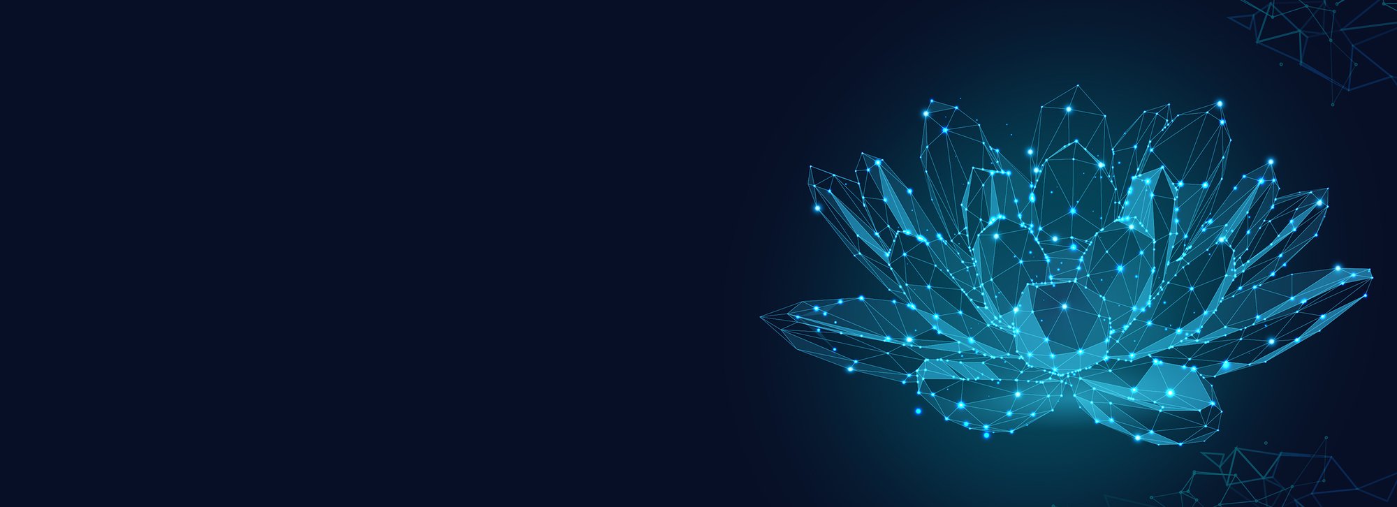 TNOW_Banner image